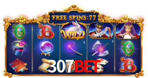 Interface Premium 307bet